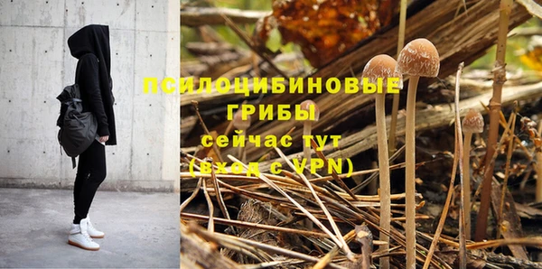 стафф Волоколамск