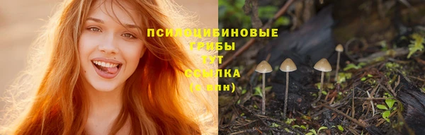 молекула духа Верея