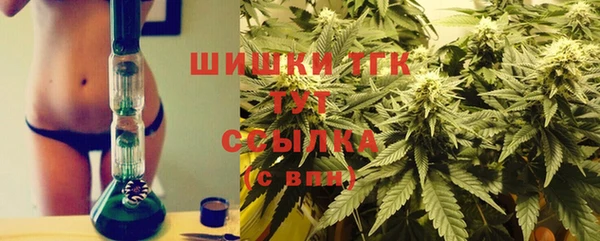 хмурый Верхний Тагил