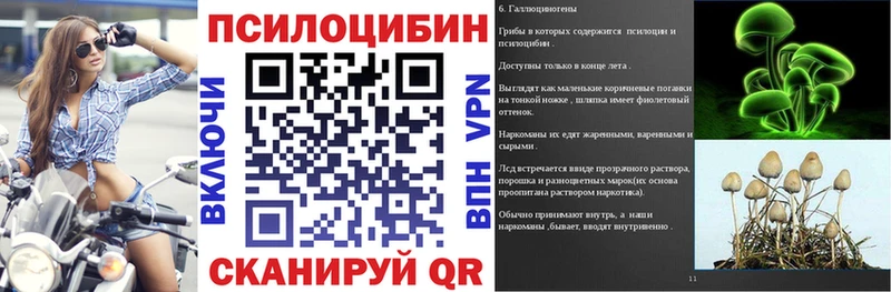 Псилоцибиновые грибы GOLDEN TEACHER Лобня